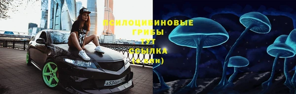 гашик Наволоки