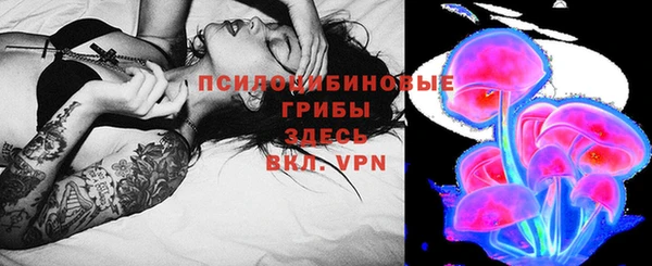 соль курить ск Надым