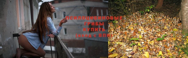 соль курить ск Надым